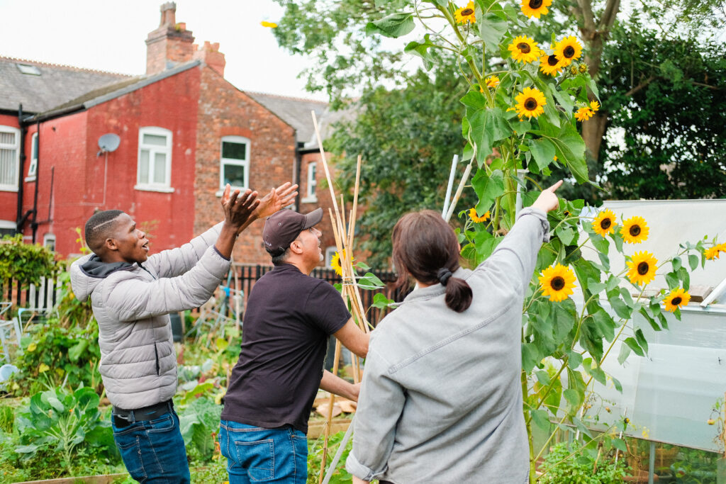 3 people gardening