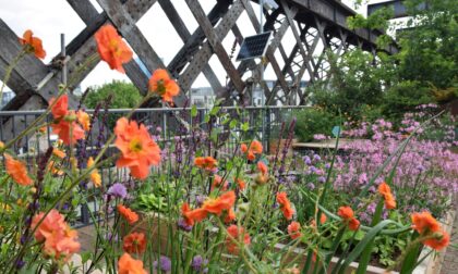 Castlefield Viaduct May 2 (1)