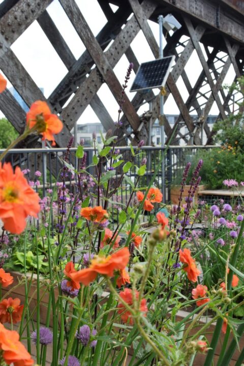 Castlefield Viaduct May 2 (1)